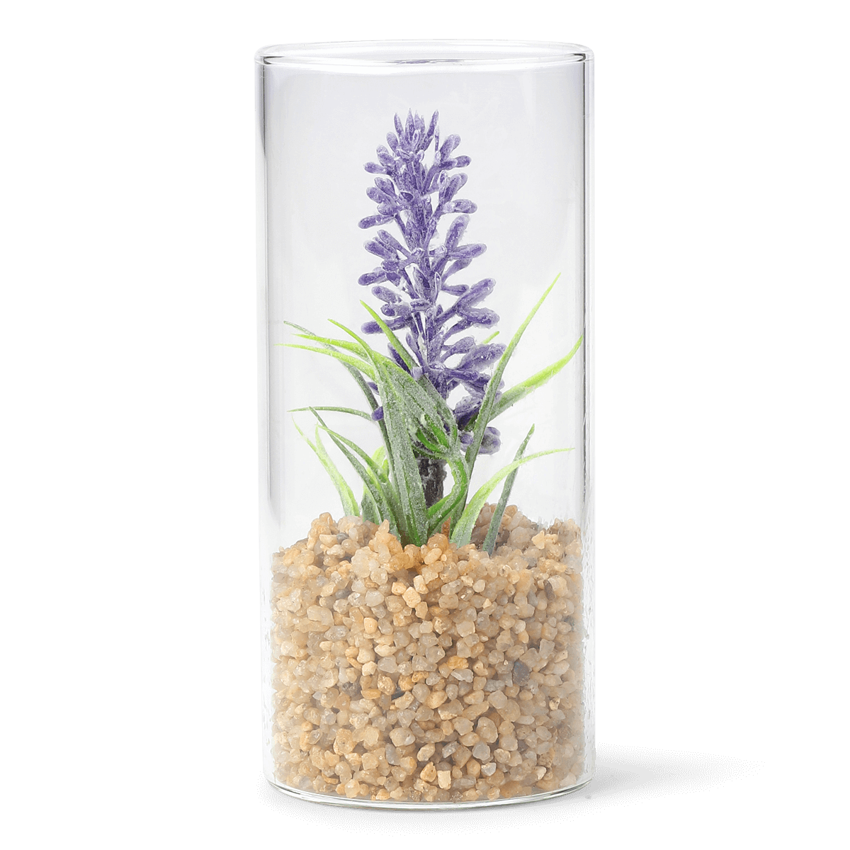 Planteterrarium. Lille