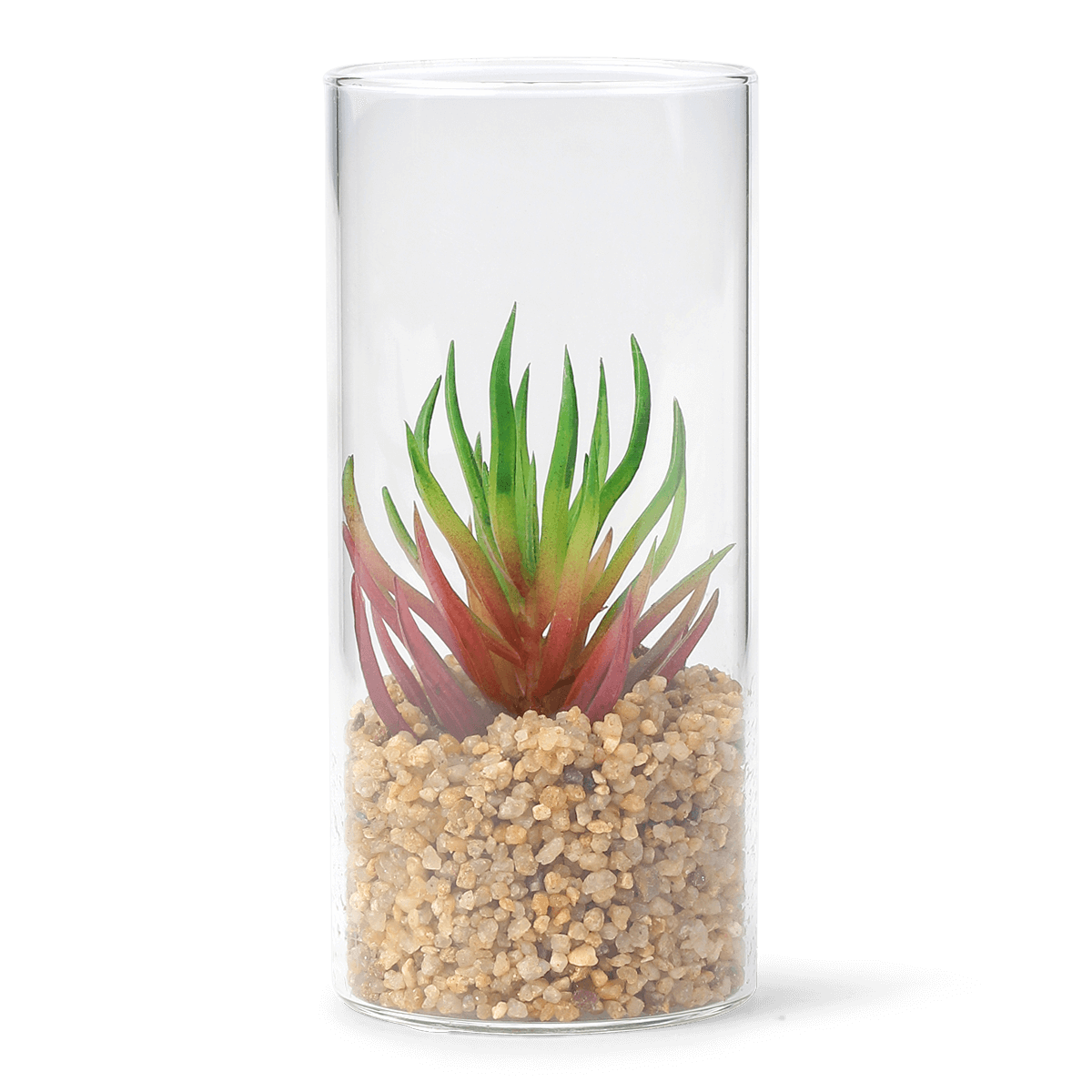 Planteterrarium. Lille