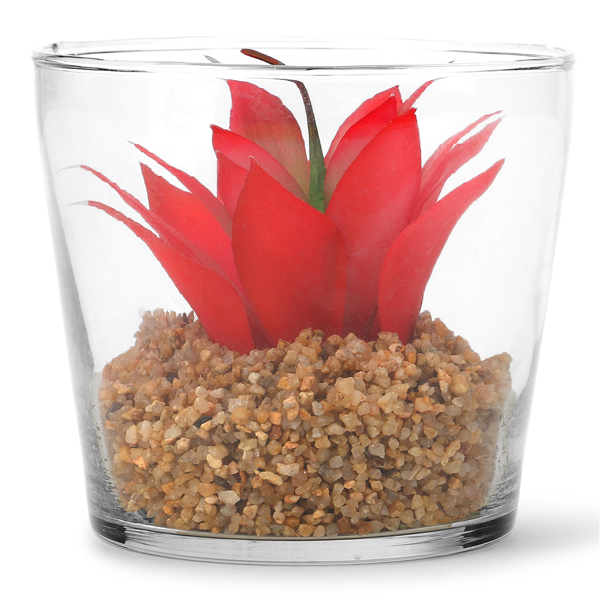 Planteterrarium. Stor