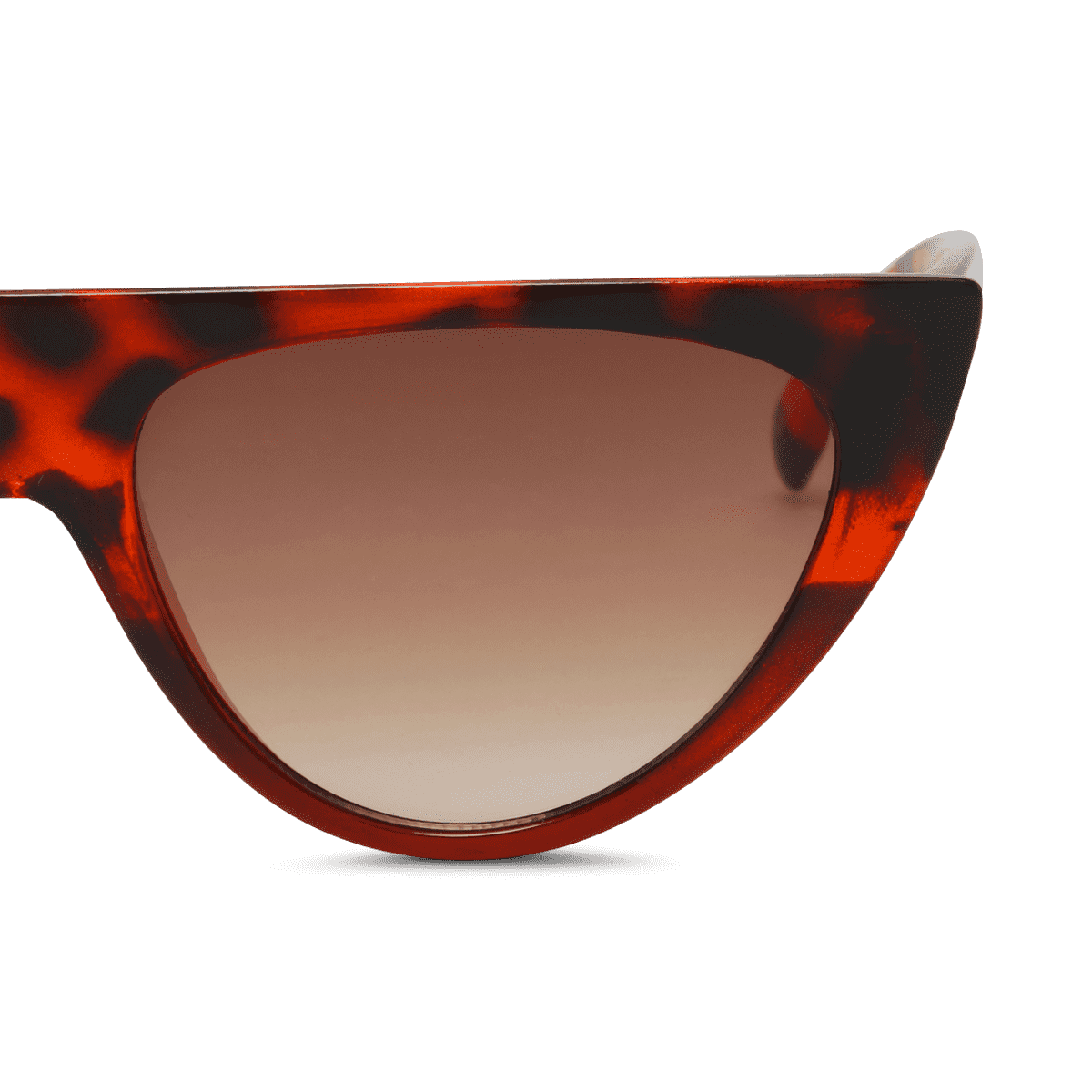 Solbriller. Voksen Grafisk