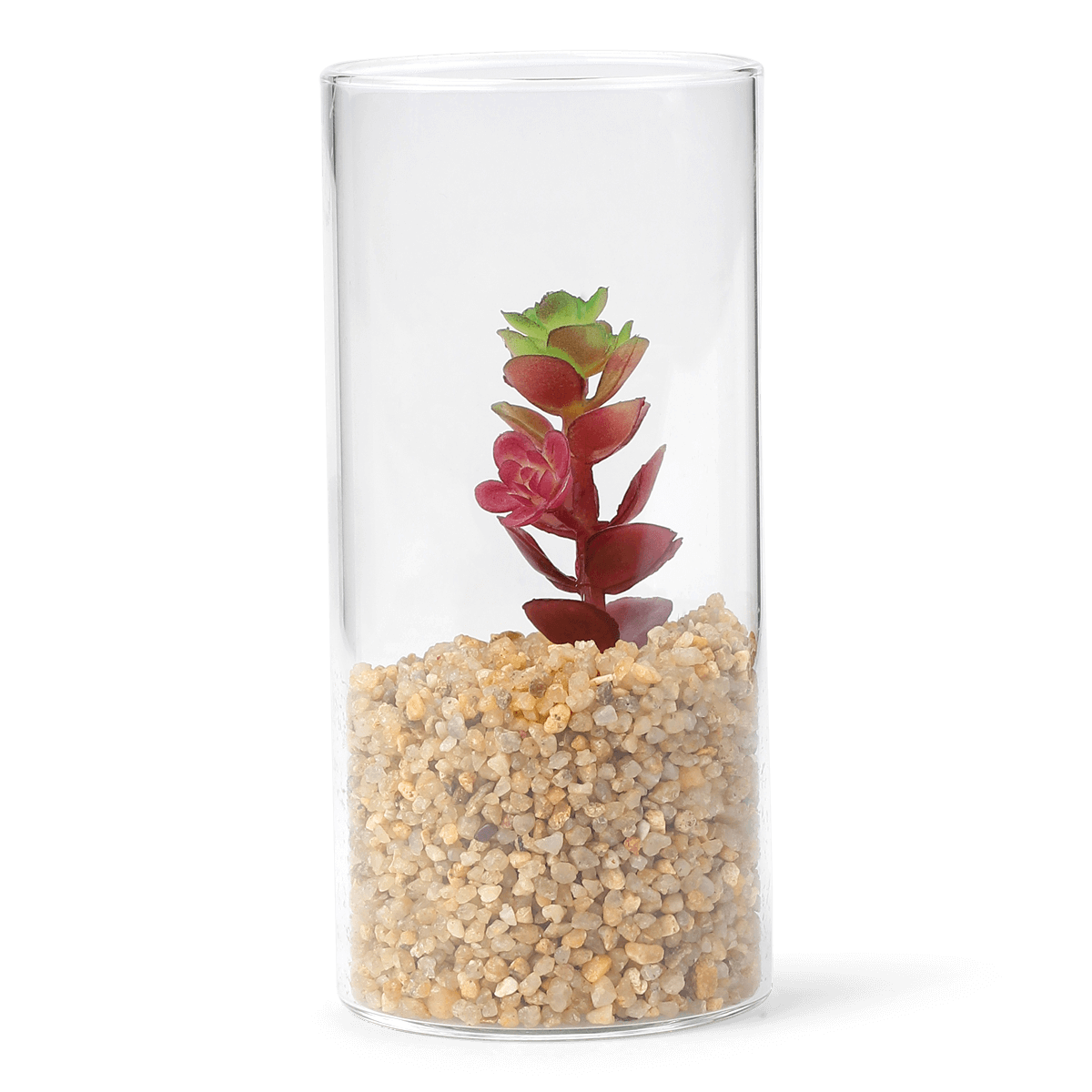 Planteterrarium. Lille