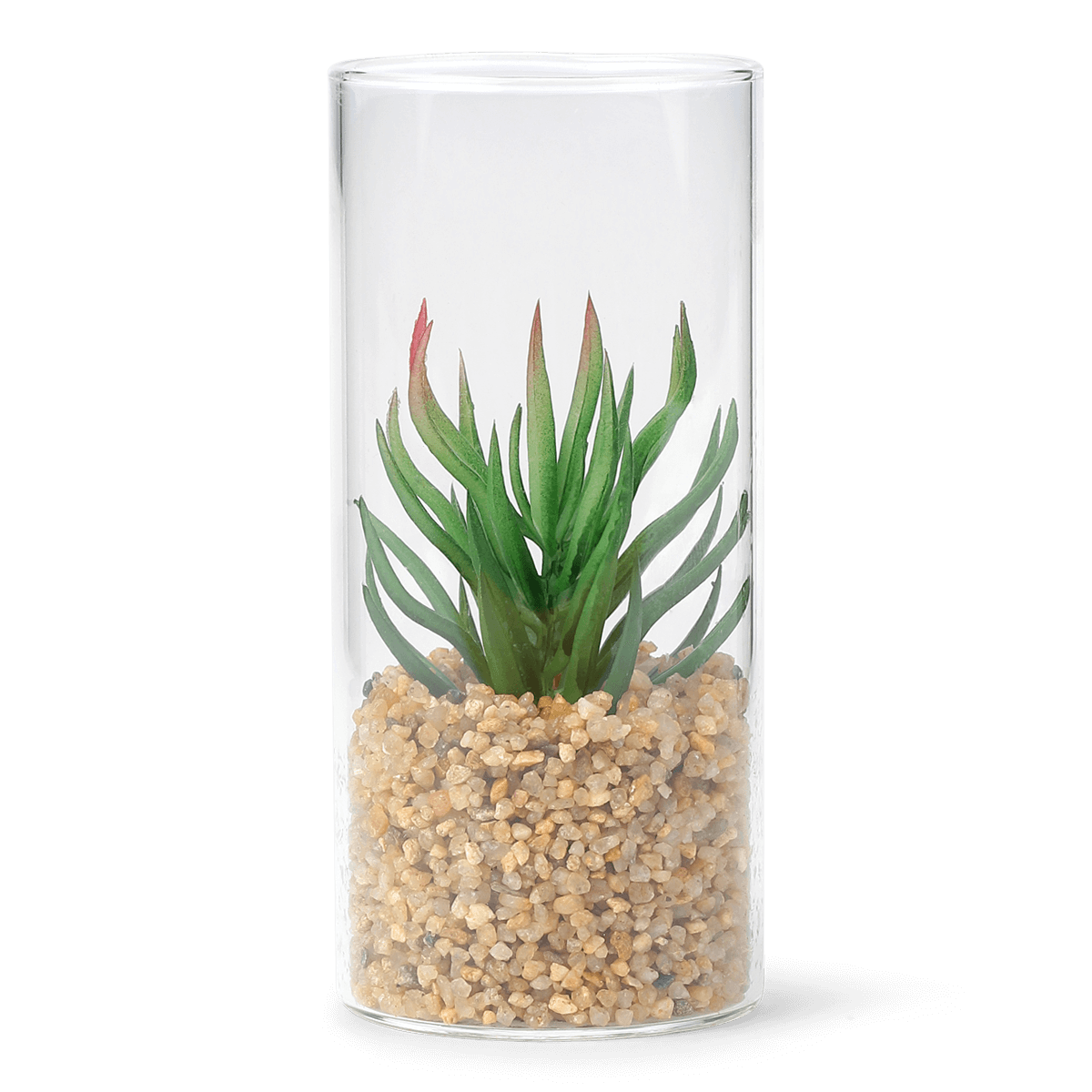 Planteterrarium. Lille