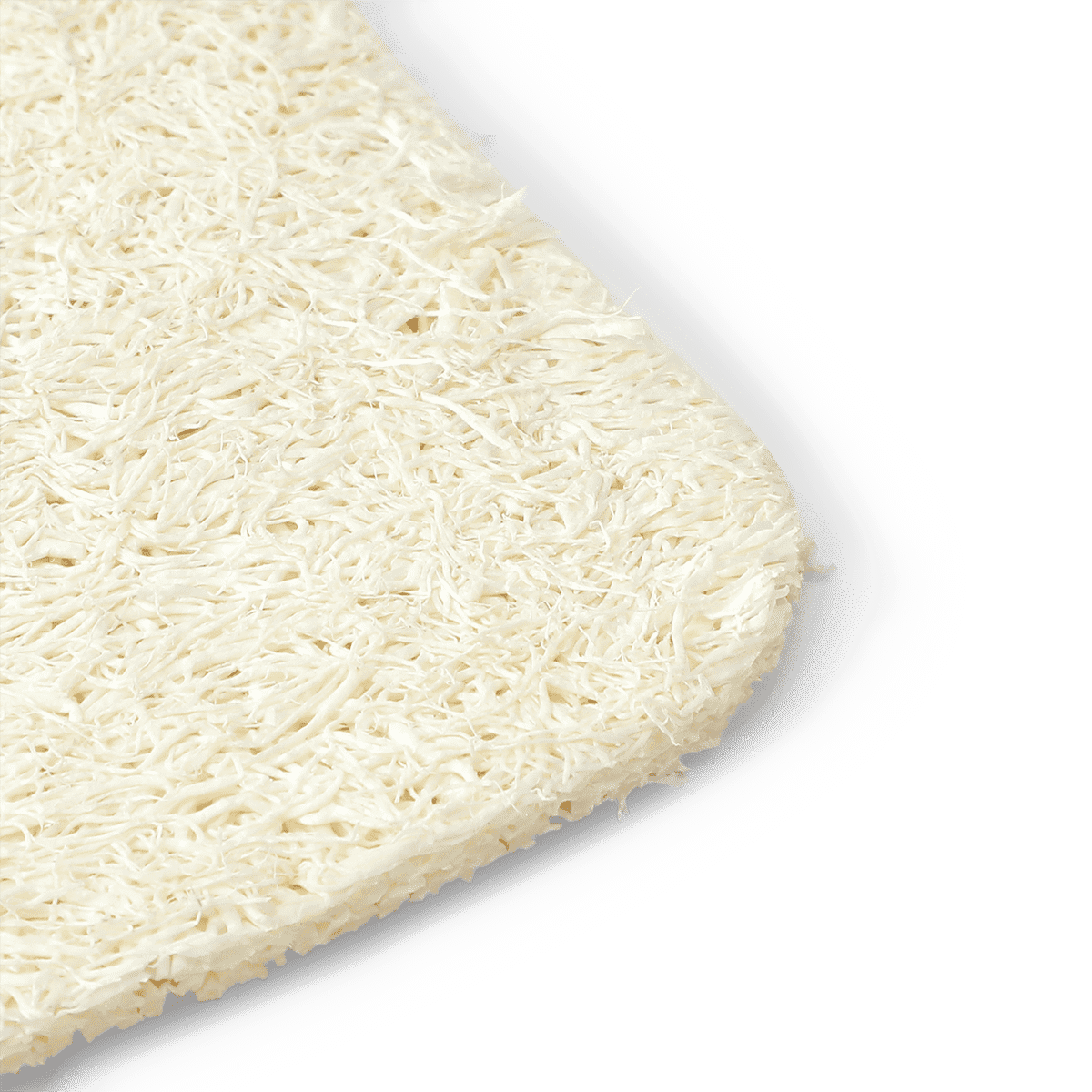 Loofah-svampe