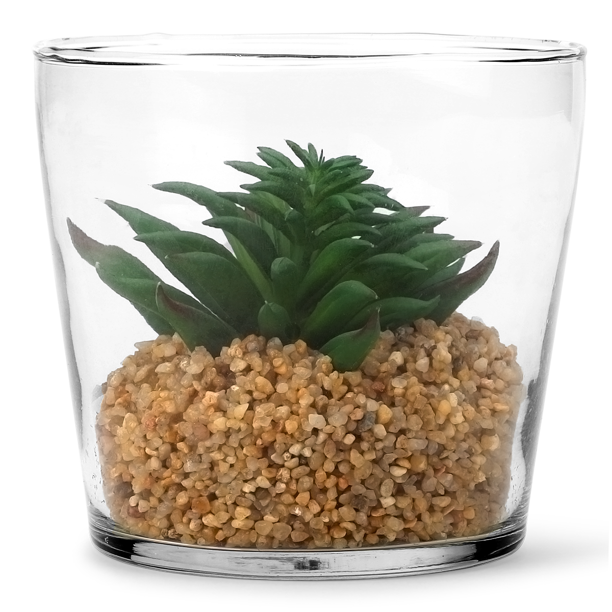 Planteterrarium. Stor