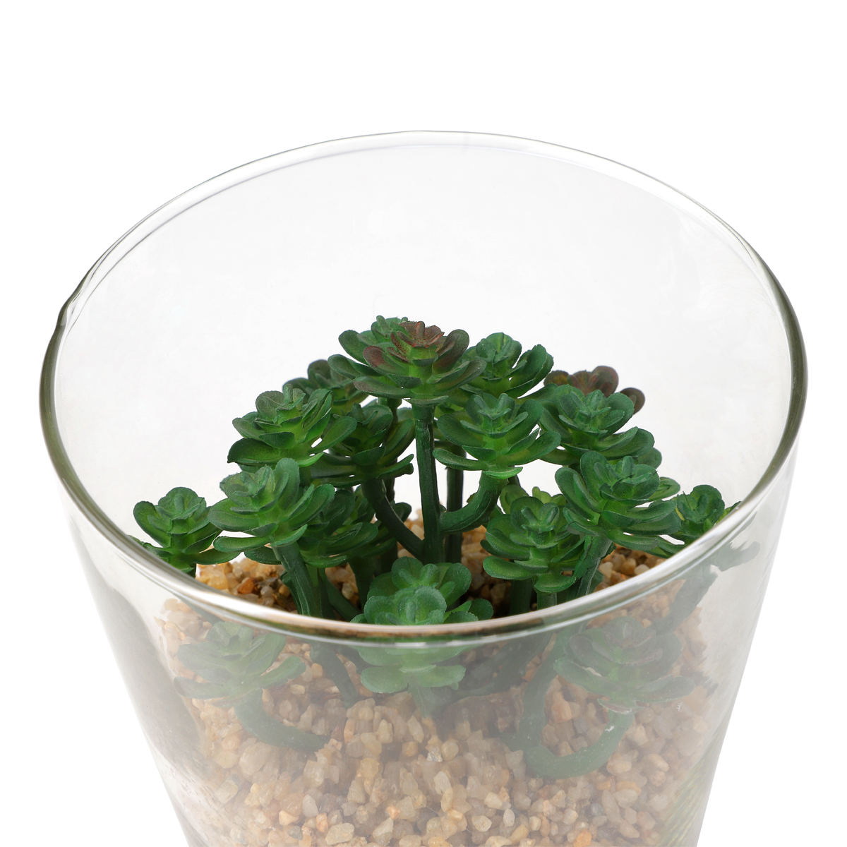 Planteterrarium. Stor