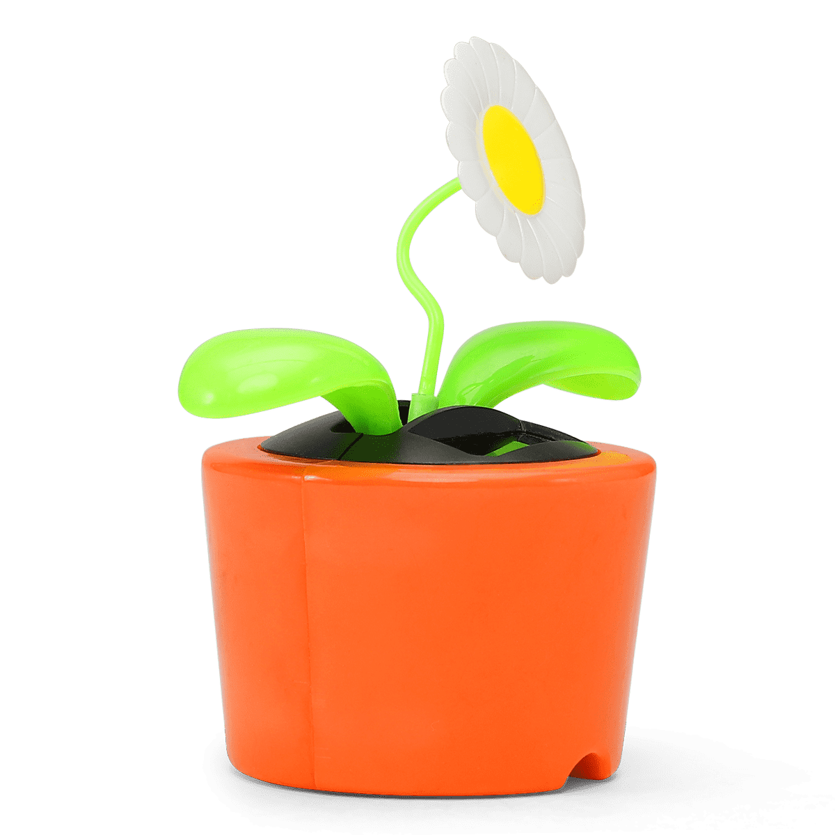 Solcelleblomst