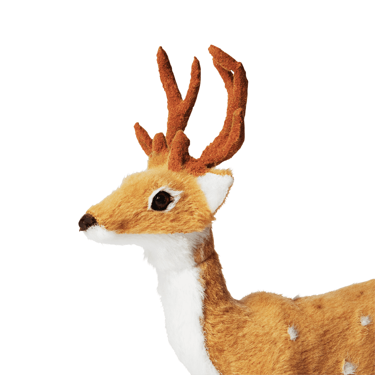 Rådyr
