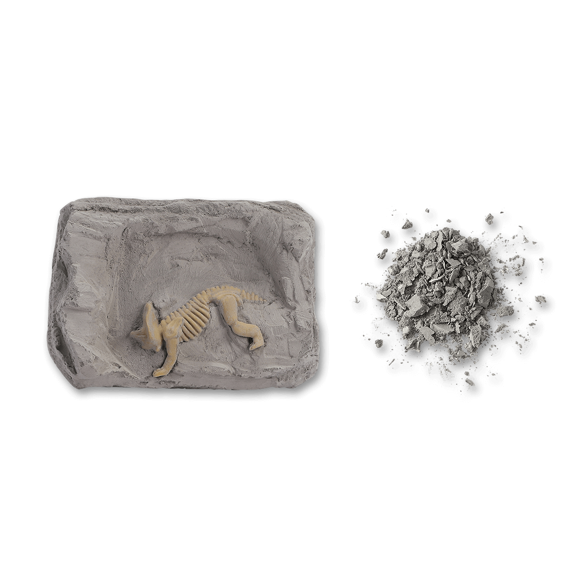 Udgravningssæt. Fossil