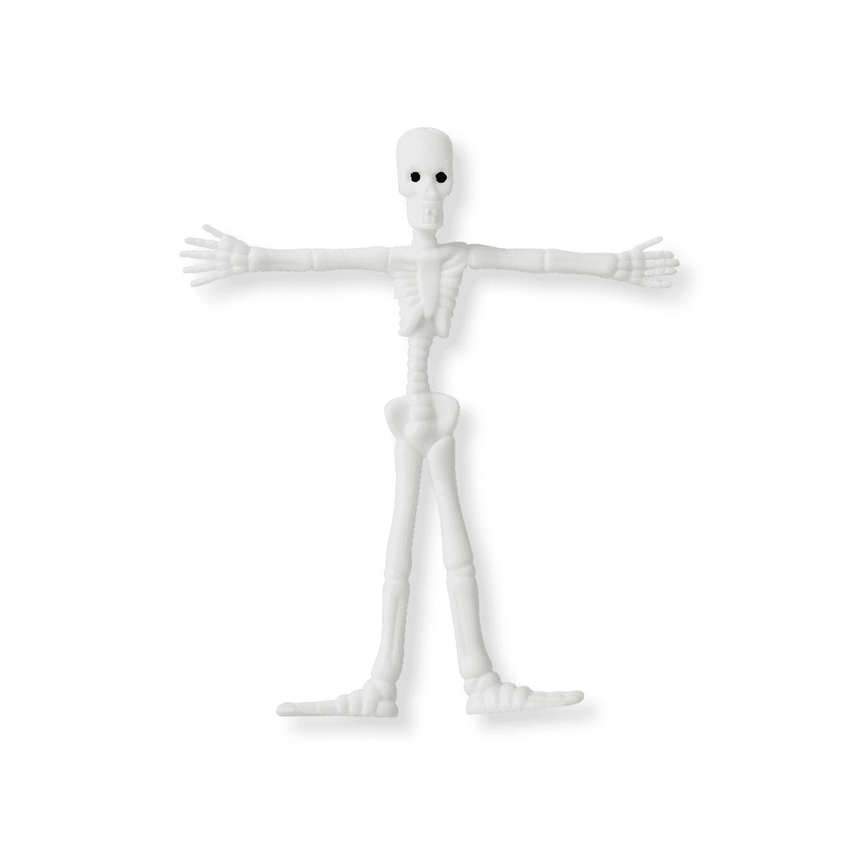 Skelet