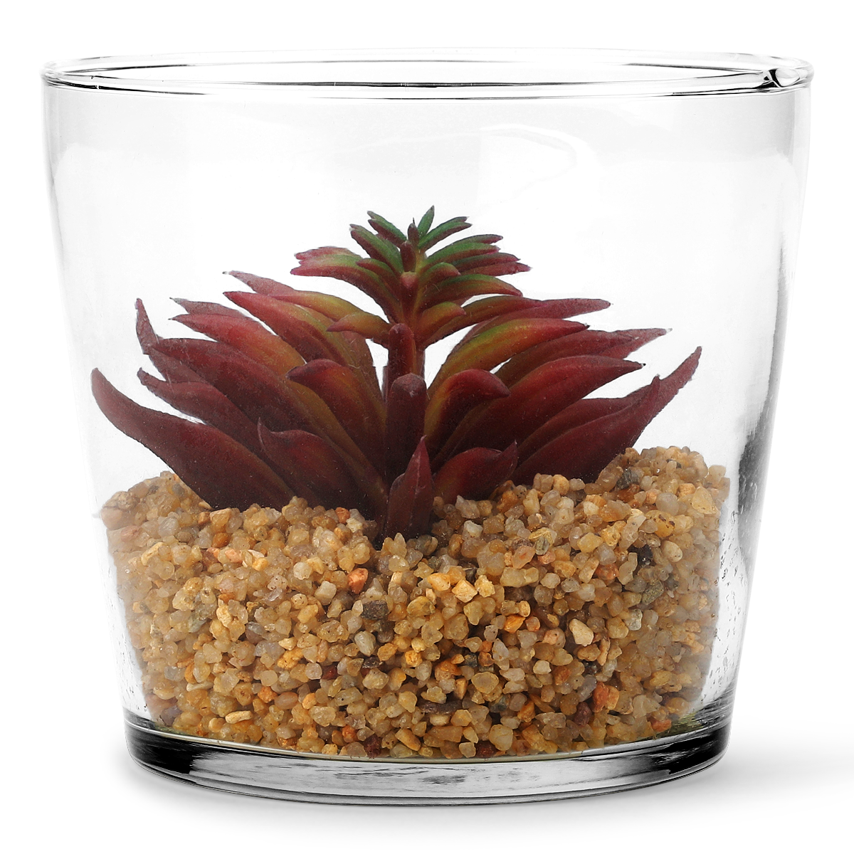 Planteterrarium. Stor