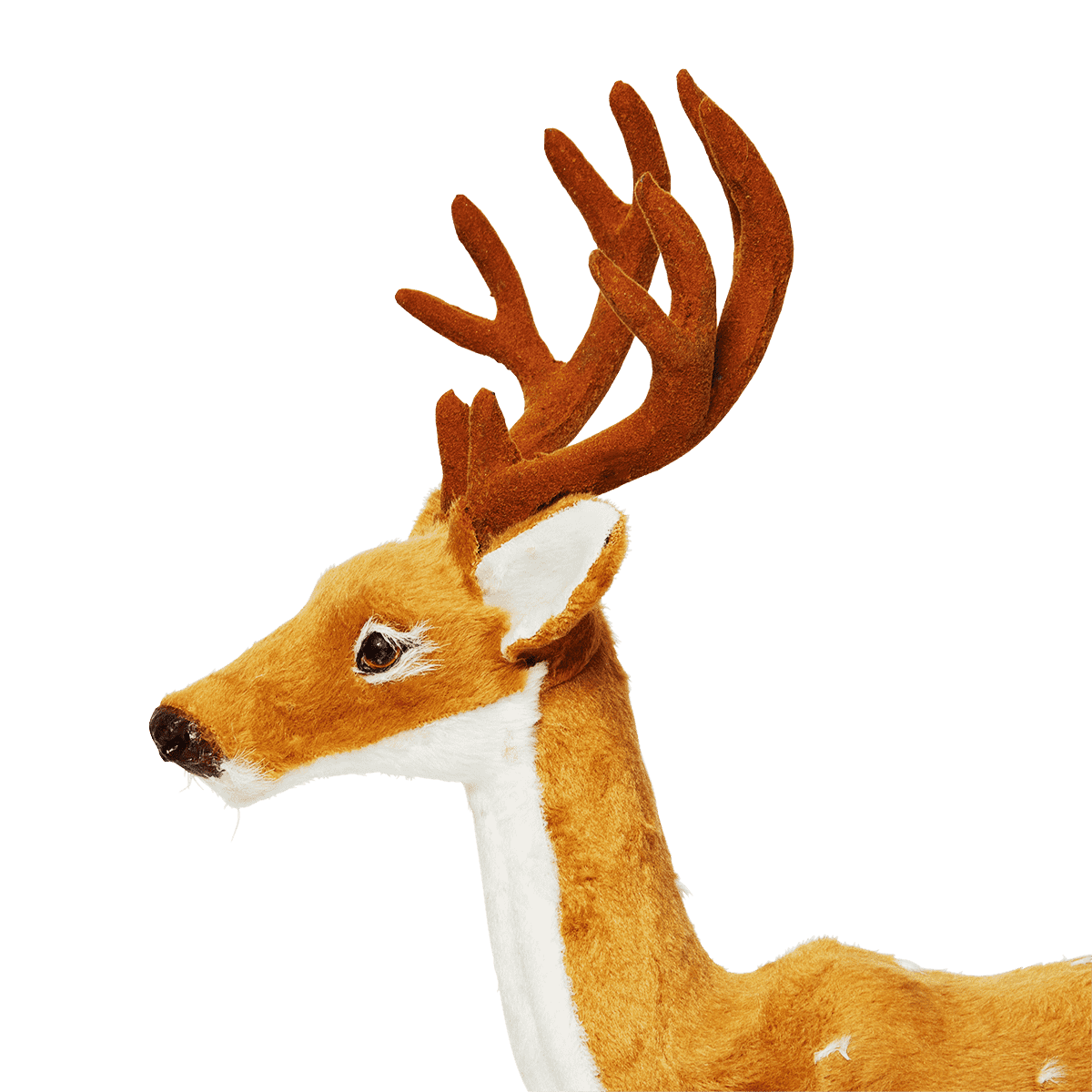 Rådyr