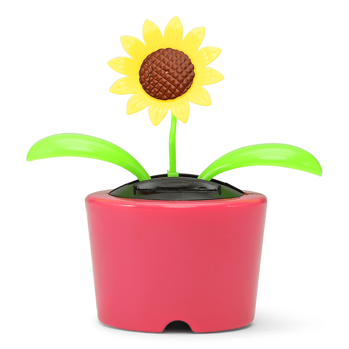 Solcelleblomst