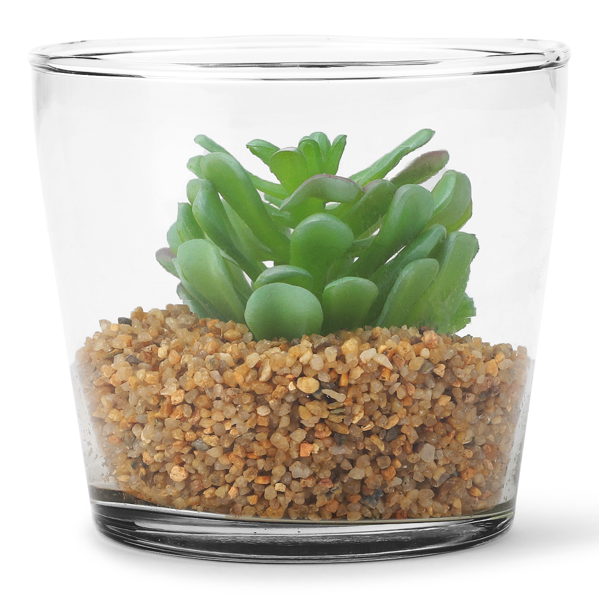Planteterrarium. Stor