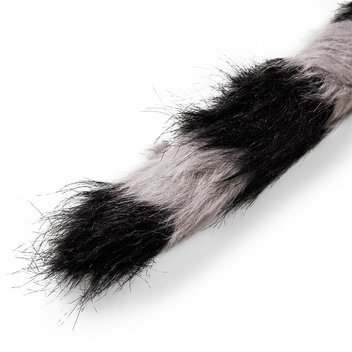 Udklædning. Vaskebjørn